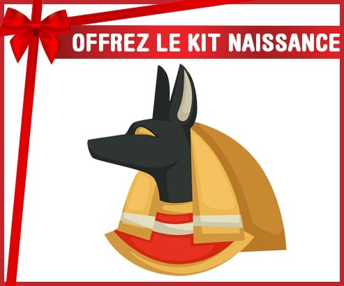 kit naissance bébé personnalisé Anubis dieu égyptien enfers tête de chien Égypte